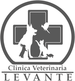 Levante