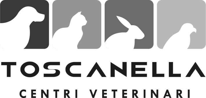 Toscanella